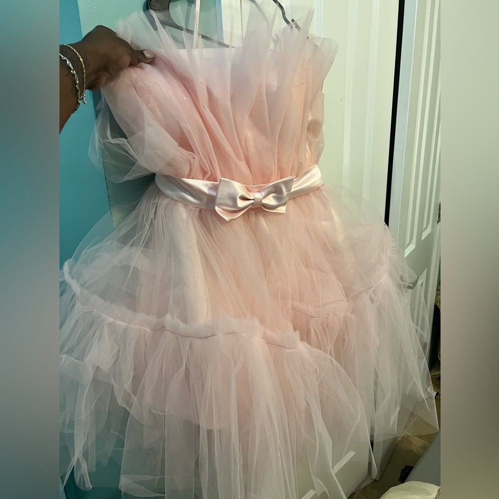Pink Tulle dress, size 16.